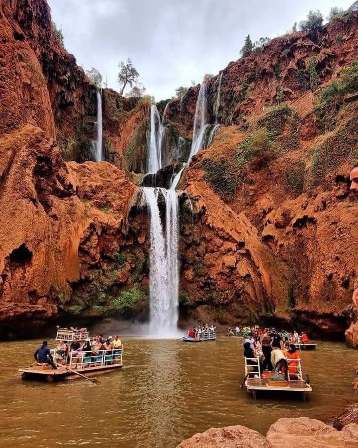 whatsapp image 2025 12 02 at 6.42.58 pm (1)