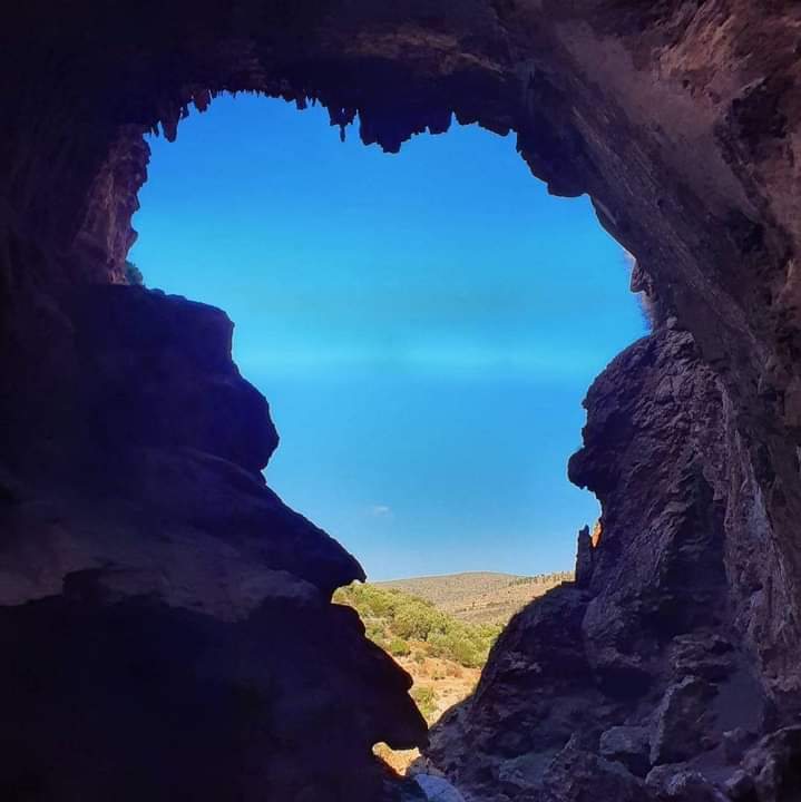 whatsapp image 2025 12 02 at 6.42.59 pm